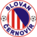 TJ Slovan Černovír z.s.