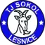 TJ Sokol Lesnice z.s.