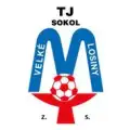 TJ Sokol Velké Losiny z.s. "B"